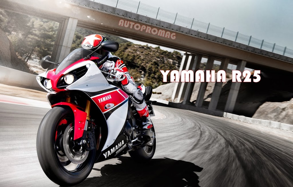 Yamaha Confirms Launch Of Their 250cc Bike In 2014 Autopromag
